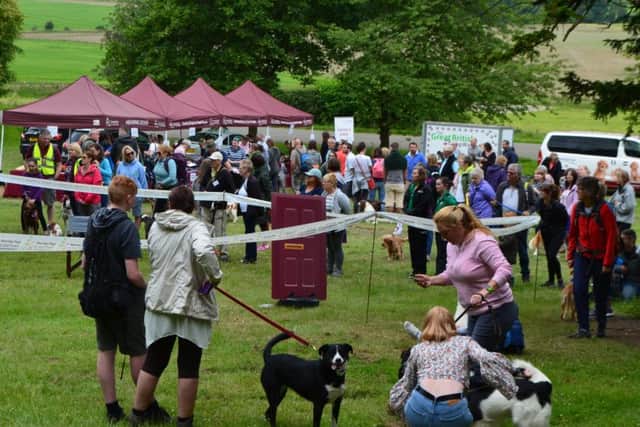 Dog walkers gathering near the start at Belvoir Castle PHOTO: Supplied
