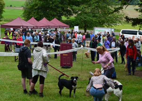 Dog walkers gathering near the start at Belvoir Castle PHOTO: Supplied