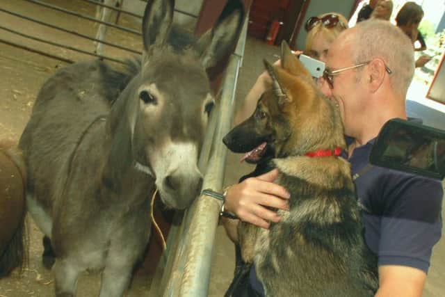 Police officer Leigh Emerson and puppy Akira meet a Twinlakes donkey EMN-180625-172107001