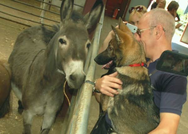 Police officer Leigh Emerson and puppy Akira meet a Twinlakes donkey EMN-180625-172107001