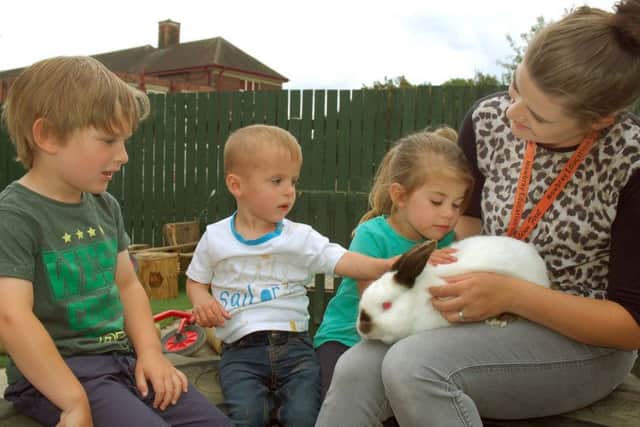 Hopscotch, the rabbit adopted by Oasis Family Centre, gets some attention from some of the children and staff member Gemma Warrener. EMN-180907-120322001