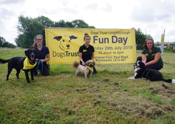 All ready for the big day are (from left) Lily Woodford with Marley, Hannah Graham with Dudley and Aimee Turner with Mr Darcy PHOTO: Supplied