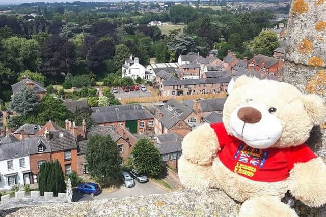 Jubilee Bear at the top of St Mary's Church tower PHOTO: Helen Peacock
