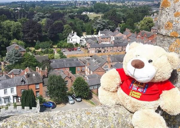Jubilee Bear at the top of St Mary's Church tower PHOTO: Helen Peacock