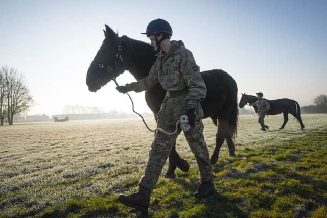 Soldiers from The Defence Animal Centre lead the horses from the field at Melton's Defence Animals Centre to the lorries before being transported back to London to serve with the Household Cavalry

Photographer:
Corporal Dek Traylor / MoD Crown EMN-180725-094154001