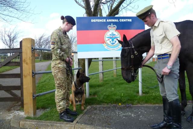 Melton's Defence Animal Centre EMN-180725-095119001