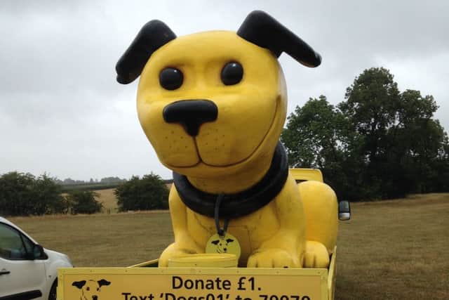 A giant yellow pooch watched over proceedings PHOTO: John Mason