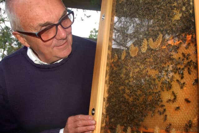 Leicestershire and Rutland Beekeepers Association's David Chevell brought along his bee observation hive PHOTO: Tim Williams