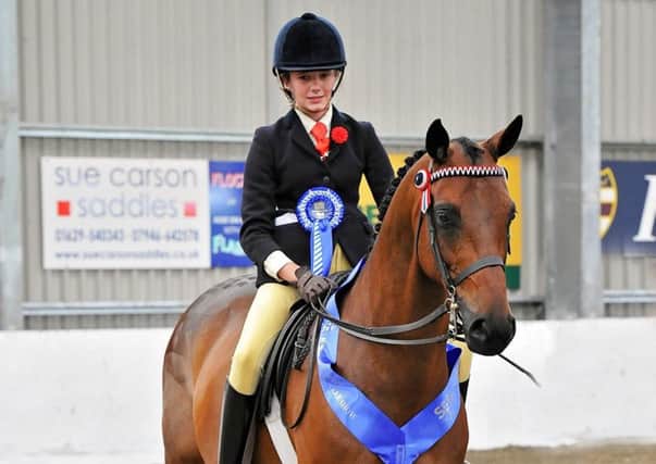 Danni Waterman and her horse Pendley Countryman qualified at Vale View last yearand went on to become Search for a Star Horse of the Year Show champions EMN-180208-113154002