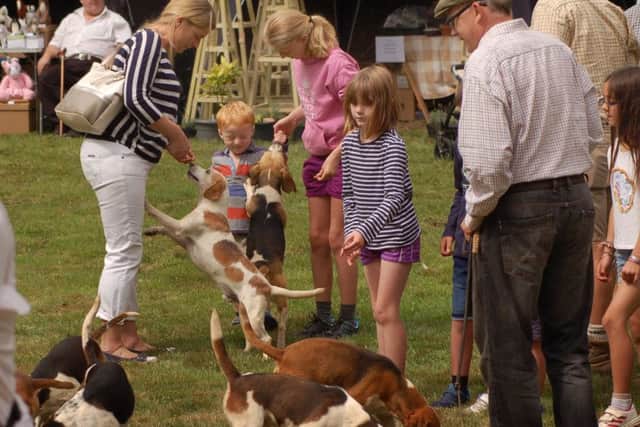 Saying hello to the Oakley Foot Beagles in the arena PHOTO: Tim Williams