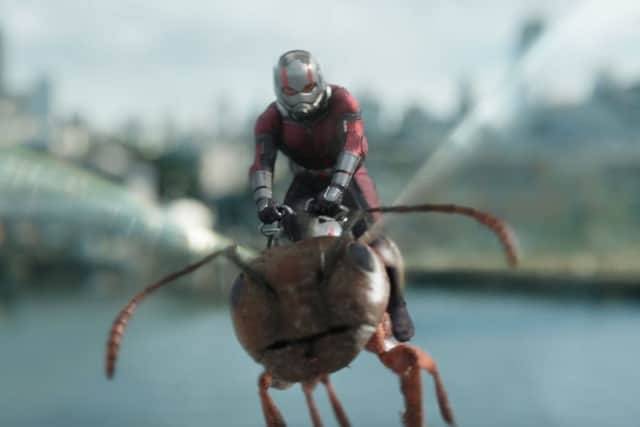 Paul Rudd as Scott Lang/Ant-Man PHOTO: PA Photo/Marvel Studios/Film Frame