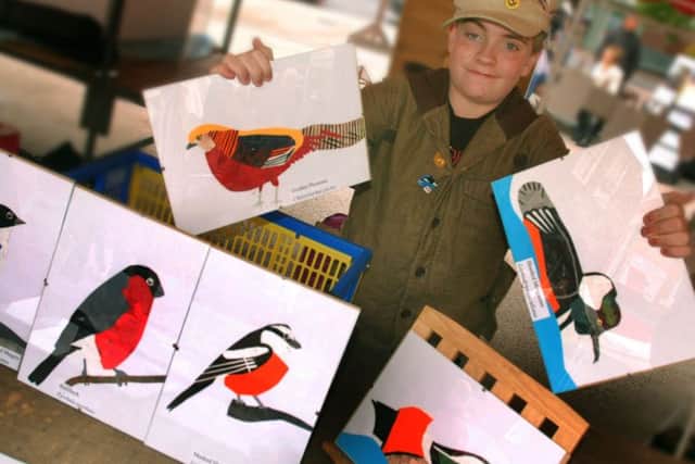 Bird collages displayed by artist Thomas Simpson PHOTO: Tim Williams