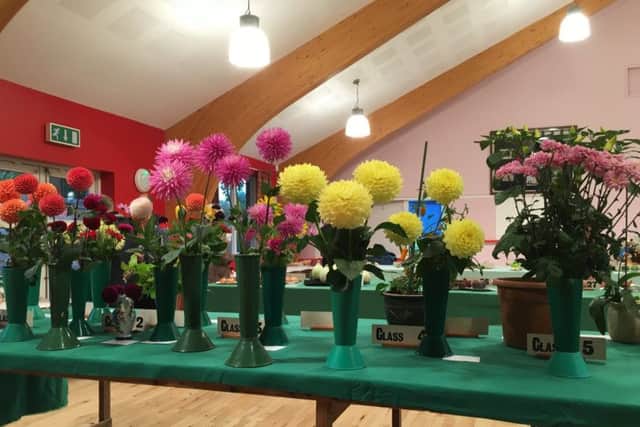Flower section at the show PHOTO: Supplied