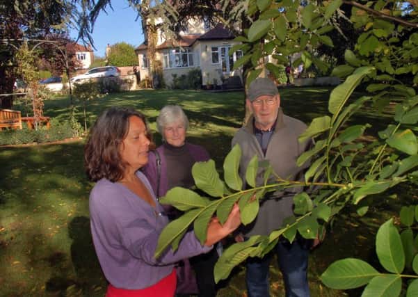 Horticulture specialist Christina Moulton shows Jill and Phil Morris around the garden PHOTO: Tim Williams