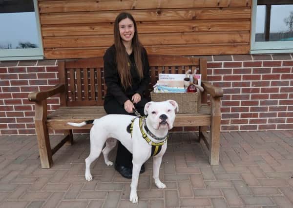 Hannah Graham, supporter relations officer at Dogs Trust Loughborough, with her rescue dog, Lily PHOTO: Supplied