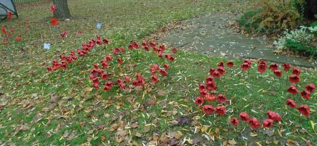 Poppies in Queniborough Primary School's Garden of Remembrance PHOTO: Supplied