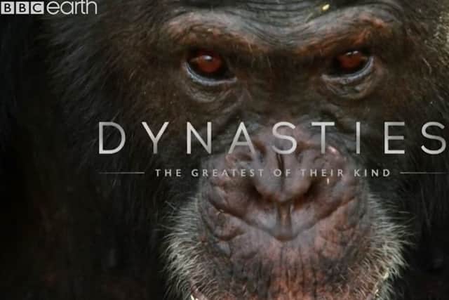 A still image from the new David Attenborough wildlife TV programme, Dynasties, which features music composed by Melton man Benji Merrison EMN-180711-120253001