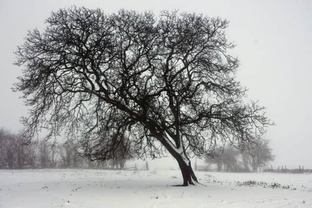 Photograph by Arthur Payne