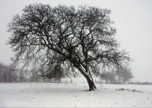 Photograph by Arthur Payne