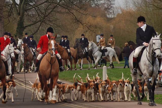 Members of the Belvoir Hunt ride out with the hounds at Tuesday's annual New Year hunt meet in Melton EMN-190201-093102001