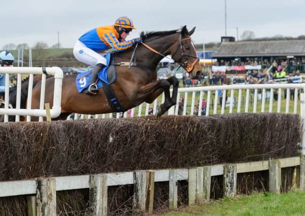 The Cottesmore Hunt Point-to-Point gets racing off and running at Garthorpe on Sunday. Photo: Nico Morgan Photography EMN-190220-123245002