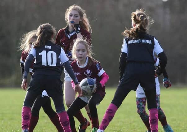 Melton RFC girls' section was launched last November EMN-190226-153917002