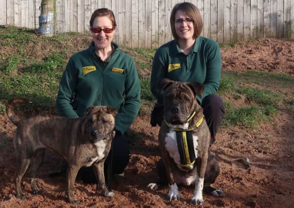 Canine carer Karen Duggan (left) with Jody and dog handler Megan Vickers with Preston PHOTO: Supplied