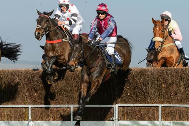 Minella Friend and Belvoir regular George Chatterton rode to their third win of the season in the Restricted. The Cottesmore at Garthorpe, Sunday 24 February PICTURE: Nico Morgan EMN-190227-135835002