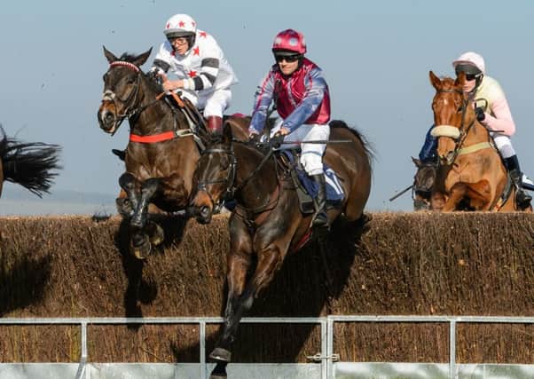Minella Friend and Belvoir regular George Chatterton rode to their third win of the season in the Restricted. The Cottesmore at Garthorpe, Sunday 24 February PICTURE: Nico Morgan EMN-190227-135835002
