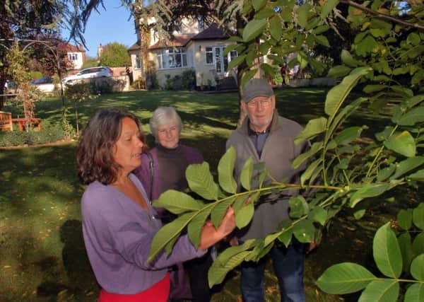Horticulture specialist Christina Moulton shows Jill and Phil Morris around the garden at Tresillian House PHOTO: Tim Williams