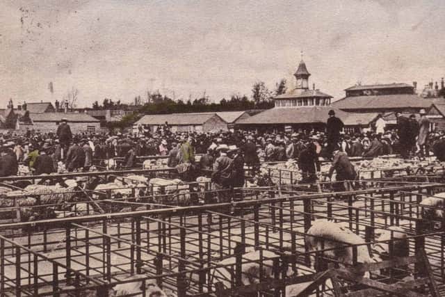 Melton Cattle Market pictured in August 1904
PHOTO MELTON CARNEGIE MUSEUM EMN-191203-164823001