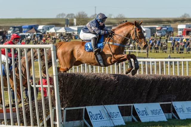 Golden Tobouggan (Claire Hardwick) may return to Garthorpe for the Mixed Open on Sunday. Photo: Nico Morgan - www.nicomorgan.co.uk