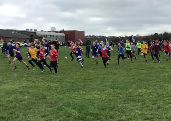 A total of 237 pupils raced at the area schools cross country championships EMN-190319-131430002