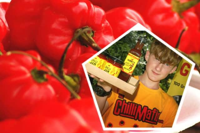 Chilli is the order of the day PHOTO: Tim Williams