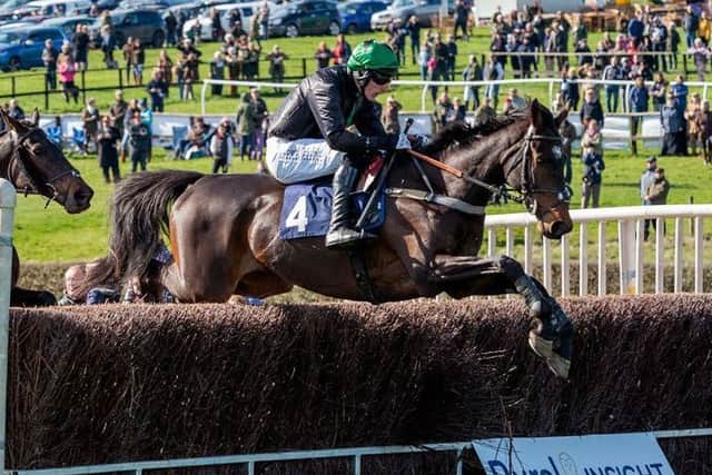 Dale Peters rides Caryto Des Brosses to victory in the day's feature race PICTURE: Nico Morgan Media EMN-190326-190009002