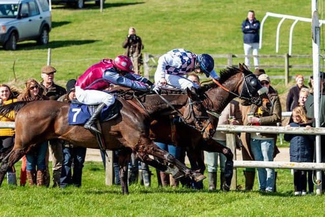 Susquehanna River (Harry Arkwright) beats Minella Friend (George Chatterton) in a thrilling finale to the PPORA Club Members race PICTURE: Nico Morgan Media EMN-190326-185959002