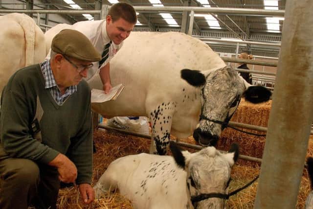 Market auctioneer Tom Greenow with Clive Delamere and some British White cattle EMN-190804-170836001