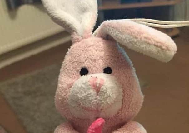 Pink rabbit 'Baby' is missing PHOTO: Supplied