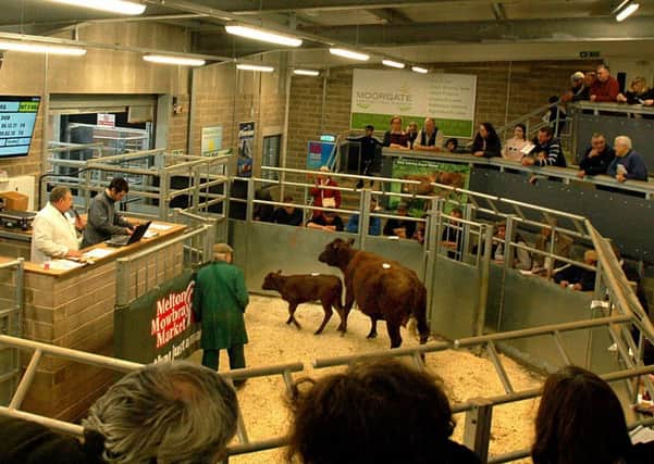 The auction ring pictured during last year's poultry and cattle rare breeds event at Melton Livestock Market EMN-191204-100353001