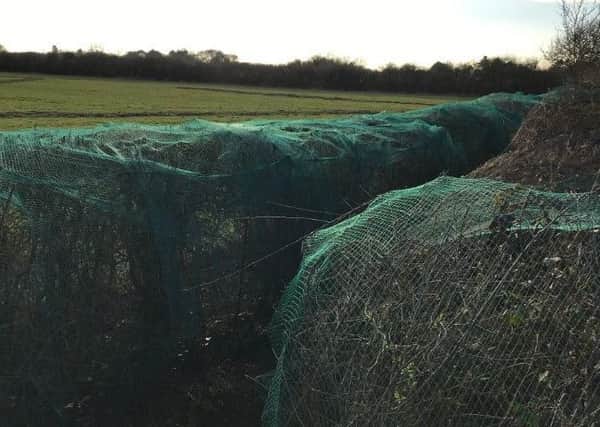 A netted hedgerow in the Vale of Belvoir EMN-190415-152323001