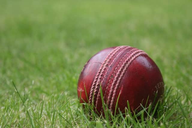 Cricket stock image PNL-190605-114644002
