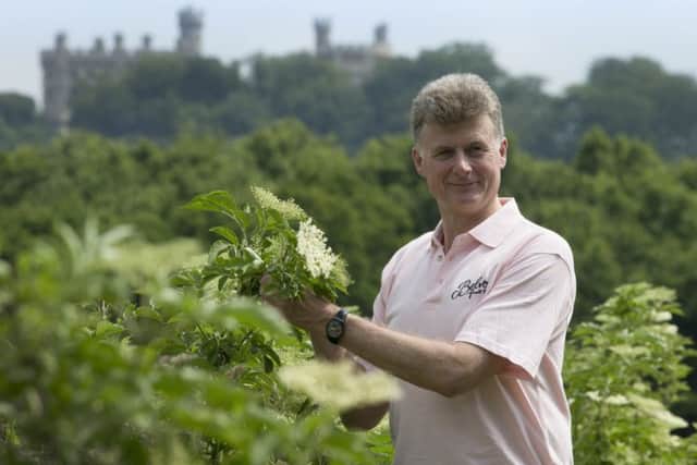 Pev Manners, managing director of Belvoir Fruit Farms, assesses the elderflower.