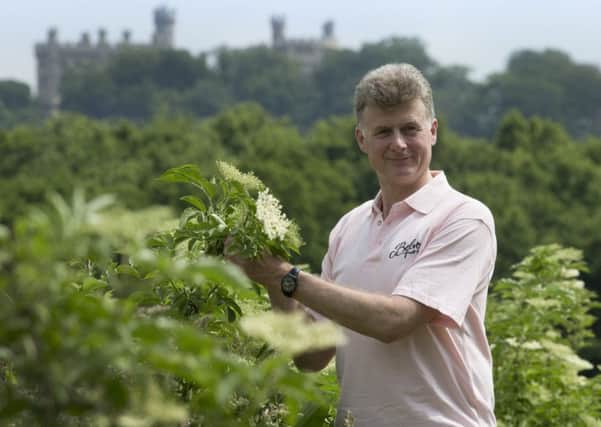 Pev Manners, managing director of Belvoir Fruit Farms, assesses the elderflower.