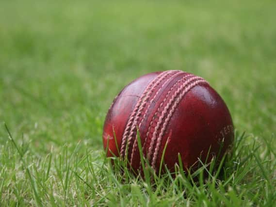 Cricket