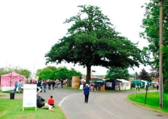 The iconic turkey oak tree on The Green, at Old Dalby, which is set to be removed because of dangers posed by its advanced decay EMN-190614-131521001