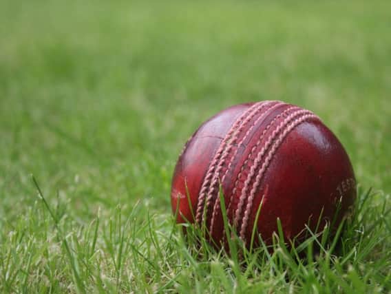 Cricket