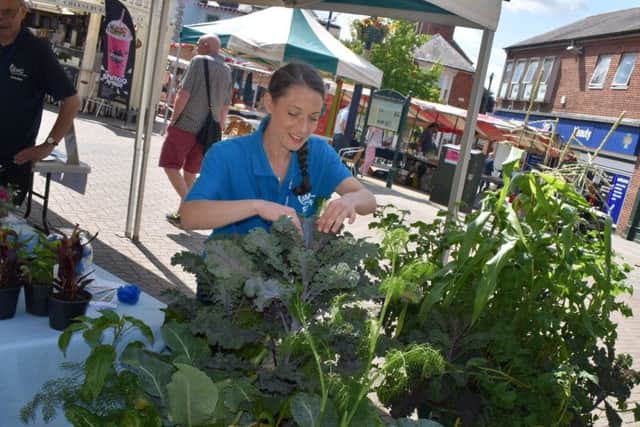 Brooksby Melton College lecturer, Elizabeth Hammond, tends to the impressive vegetables and herbs in barrows on their site as judges tour the town for the East Midlands In Bloom contest EMN-190407-131349001