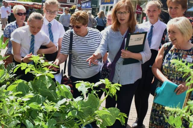 Long Field Academy pupils show off their vegetable wheelbarrows to the judges for the East Midlands In Bloom contest EMN-190407-131400001