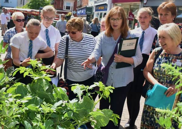 Long Field Academy pupils show off their vegetable wheelbarrows to the judges for the East Midlands In Bloom contest EMN-190407-131400001