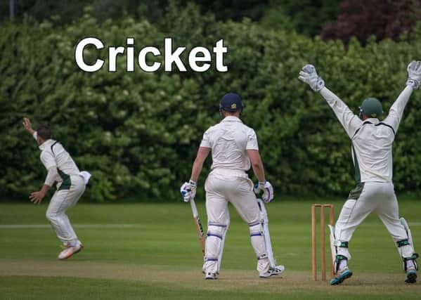 Cricket news.